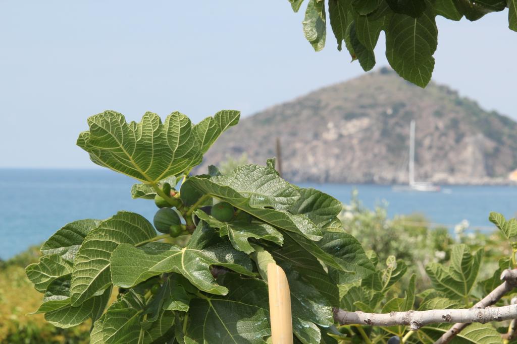 Hotel Maronti Barano dʼIschia Eksteriør bilde